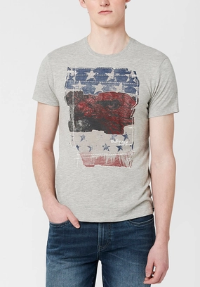 Tuca Americana Men's Flag T-Shirt in Grey - BM23763 DoubleStitched Construction Silicone Grip Interior