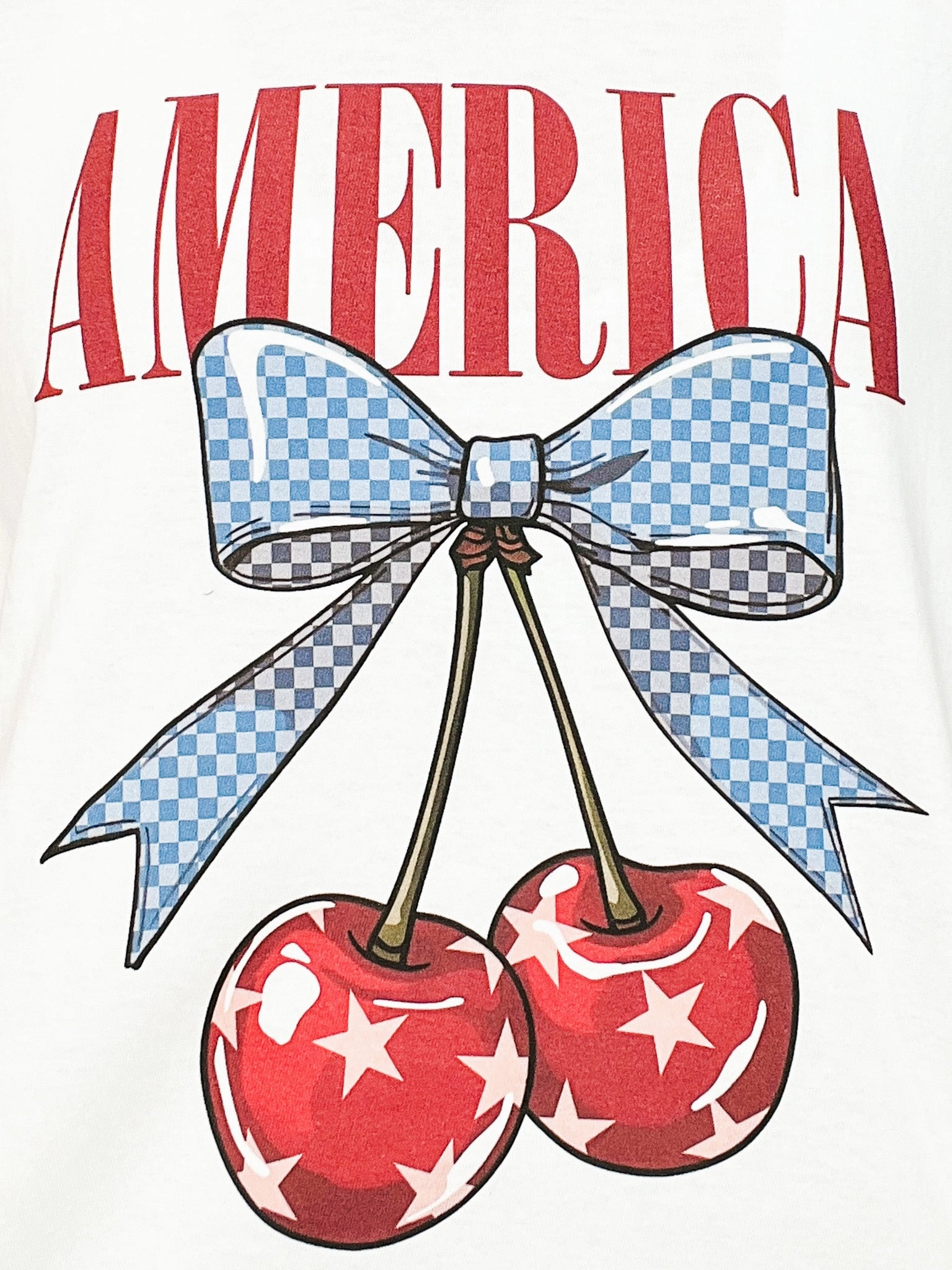 FourWay Stretch Fabric America Cherries Graphic Tee