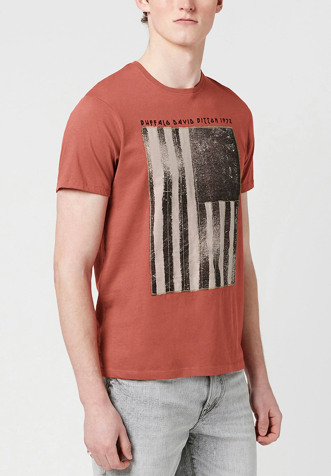 Warm Layer Tarot Greyscale Americana Men's T-Shirt Terracotta - BM23765