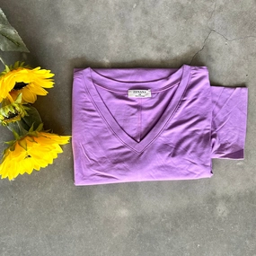 PLUS Basic Short Sleeve V-Neck Tee Buttery Soft Feel