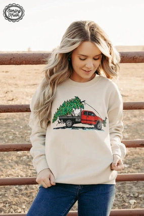 ReflectiveTrimDetails PLUS Cake Wagon Christmas Sweater*