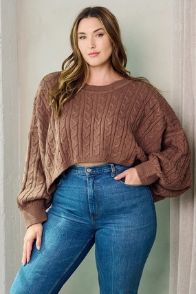 AllClimateAdaptive Plus Don't Sell Yourself Short Cropped Sweater