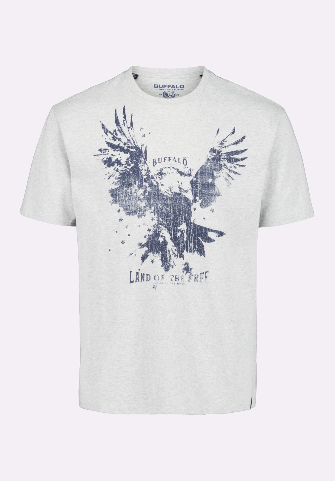 BiodegradableFabric Teagle Men's Graphic T-Shirt with Eagle Print, Heather Grey - BM24647
