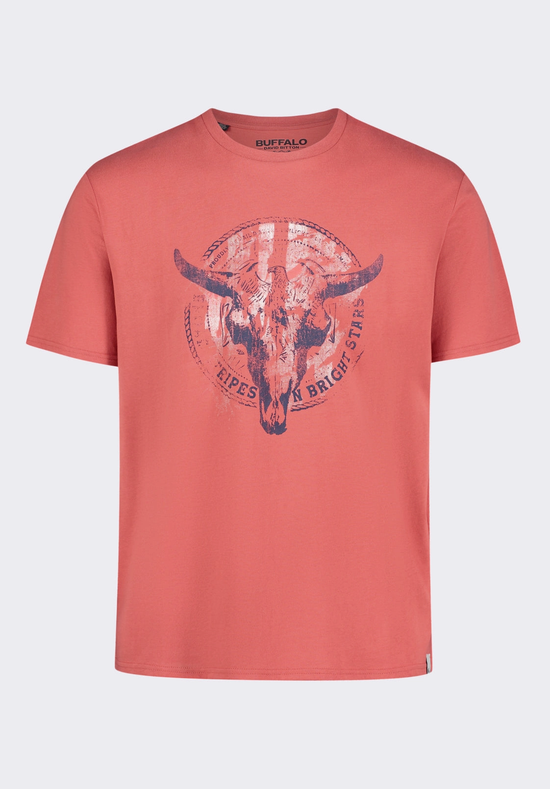 VNeck Style Tarz Men's Graphic T-Shirt with Bull Skull Motif, Miniral Red - BM24649