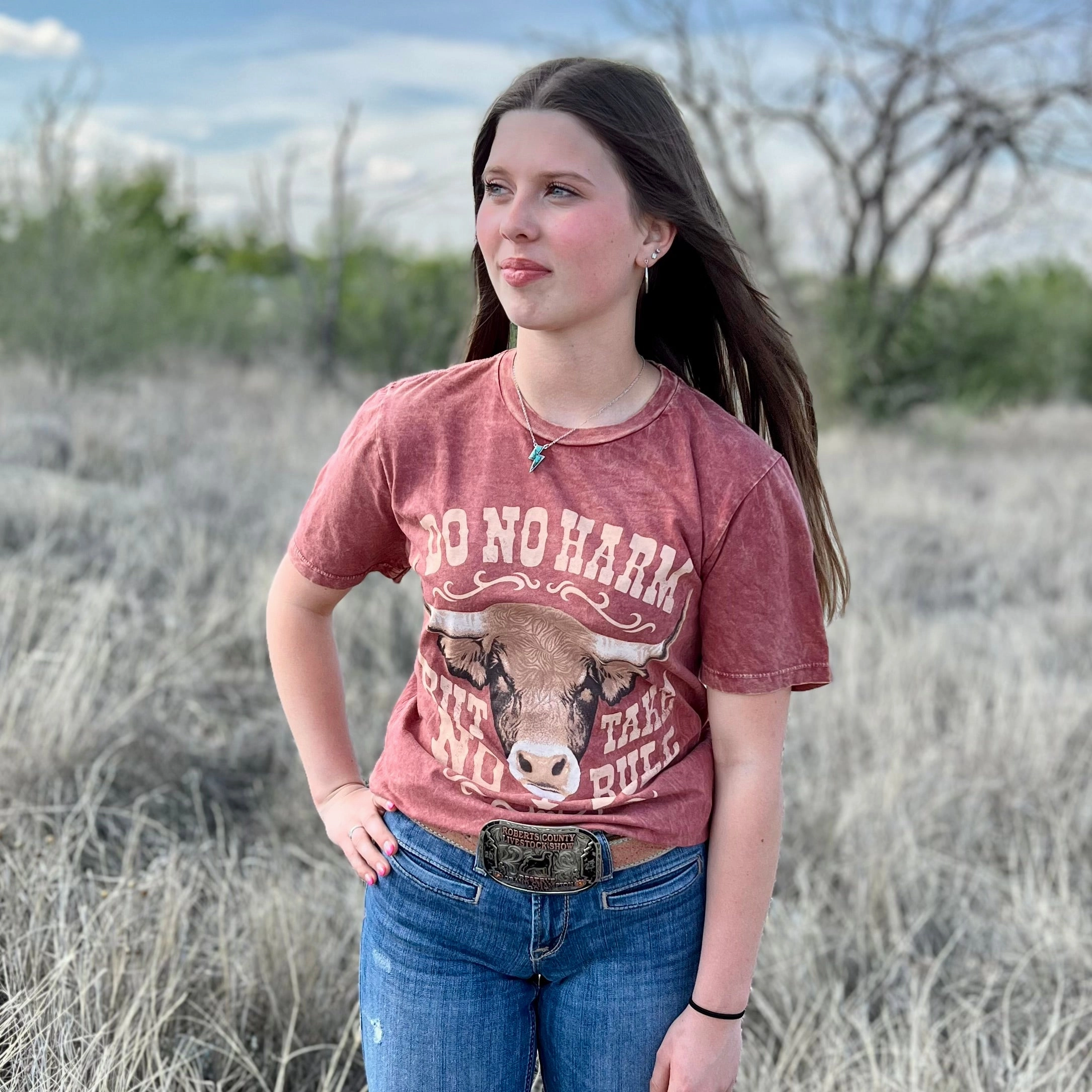 Quick Dry Fabric FrictionReducing Take No Bull Cause No Harm Tee