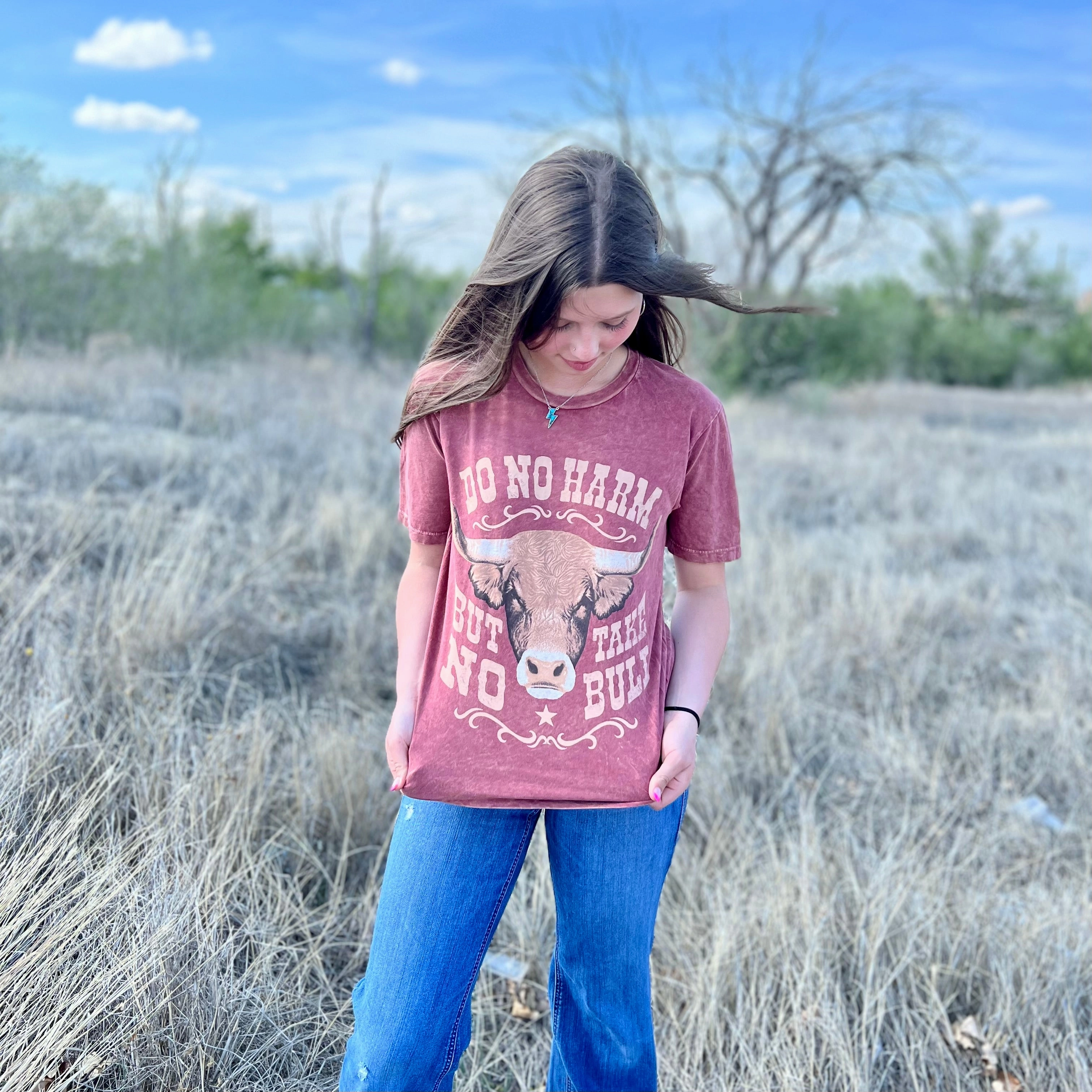 FrictionReducing Take No Bull Cause No Harm Tee