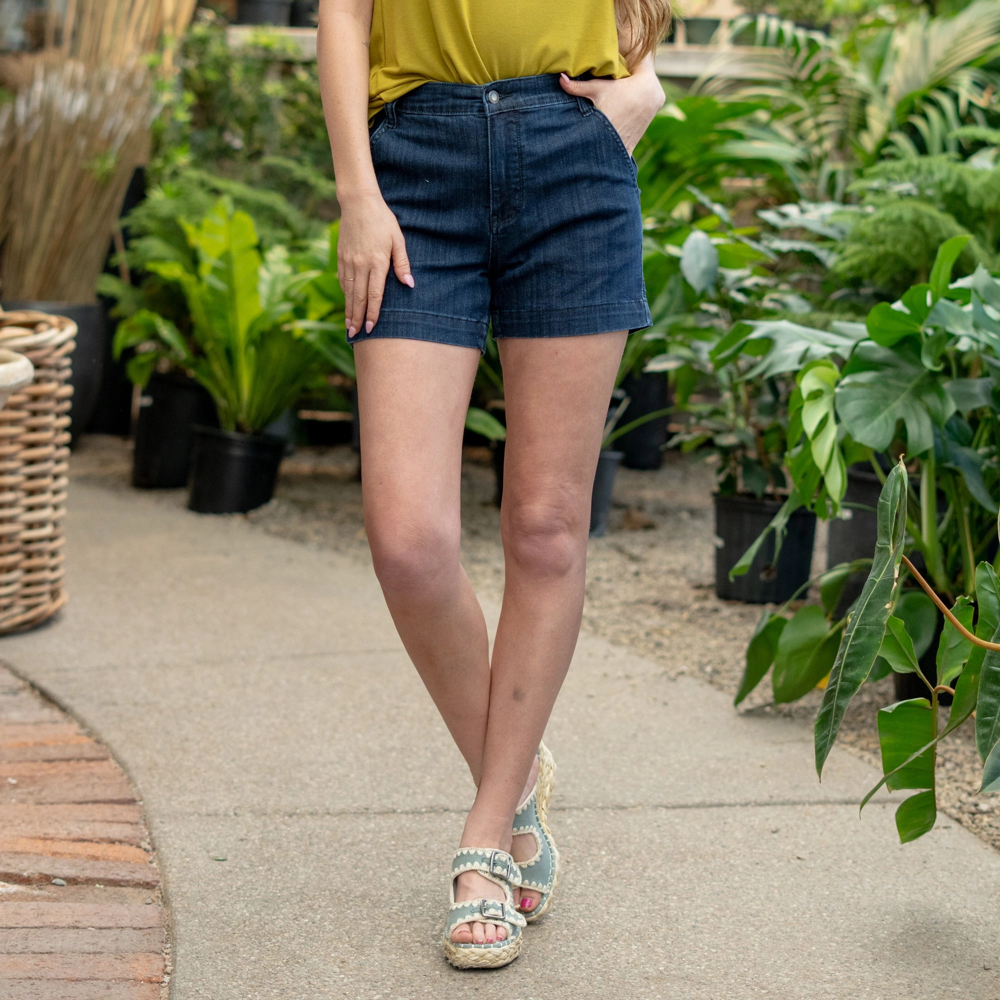 Trouser Fit High Rise Shorts Regular & Plus Sizes Style Friendly Smart Design