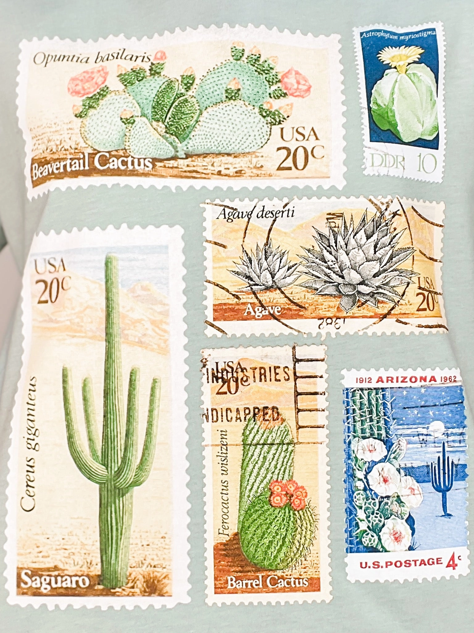 Elastic Edge Binding Bonded Seam Technology Vintage Cactus Stamps Graphic Tee