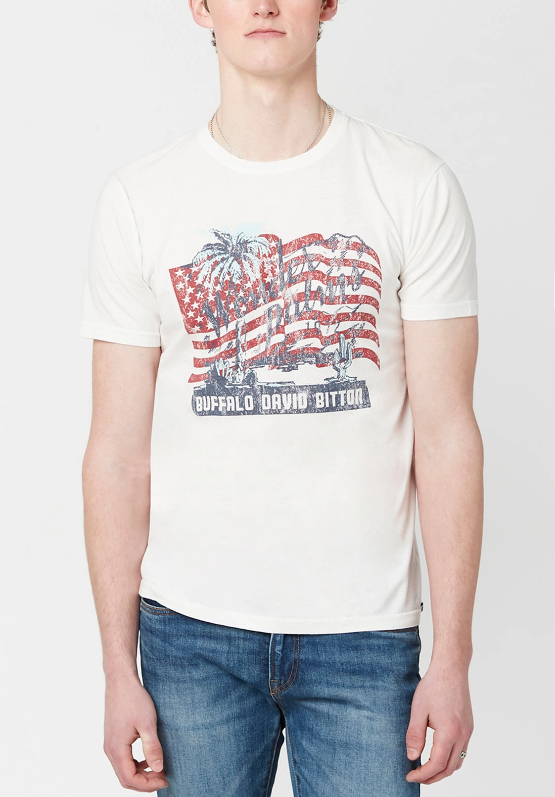 Wonder Palms Toliber Men's T-Shirt in White - BM23679 Classic Hoodie